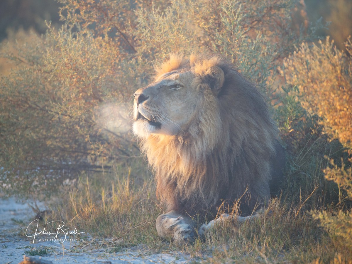 2014.07 Okavango with the&nbsp;parents!