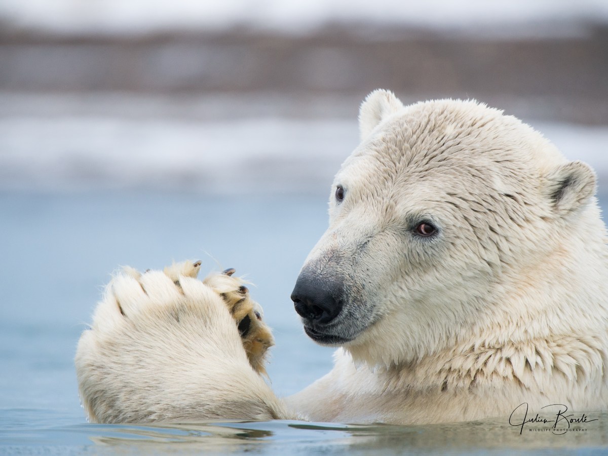 2015.10 Reaching the last&nbsp;frontier!